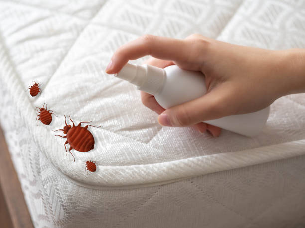 Best Emergency Pest Control  in Metlatla, AK